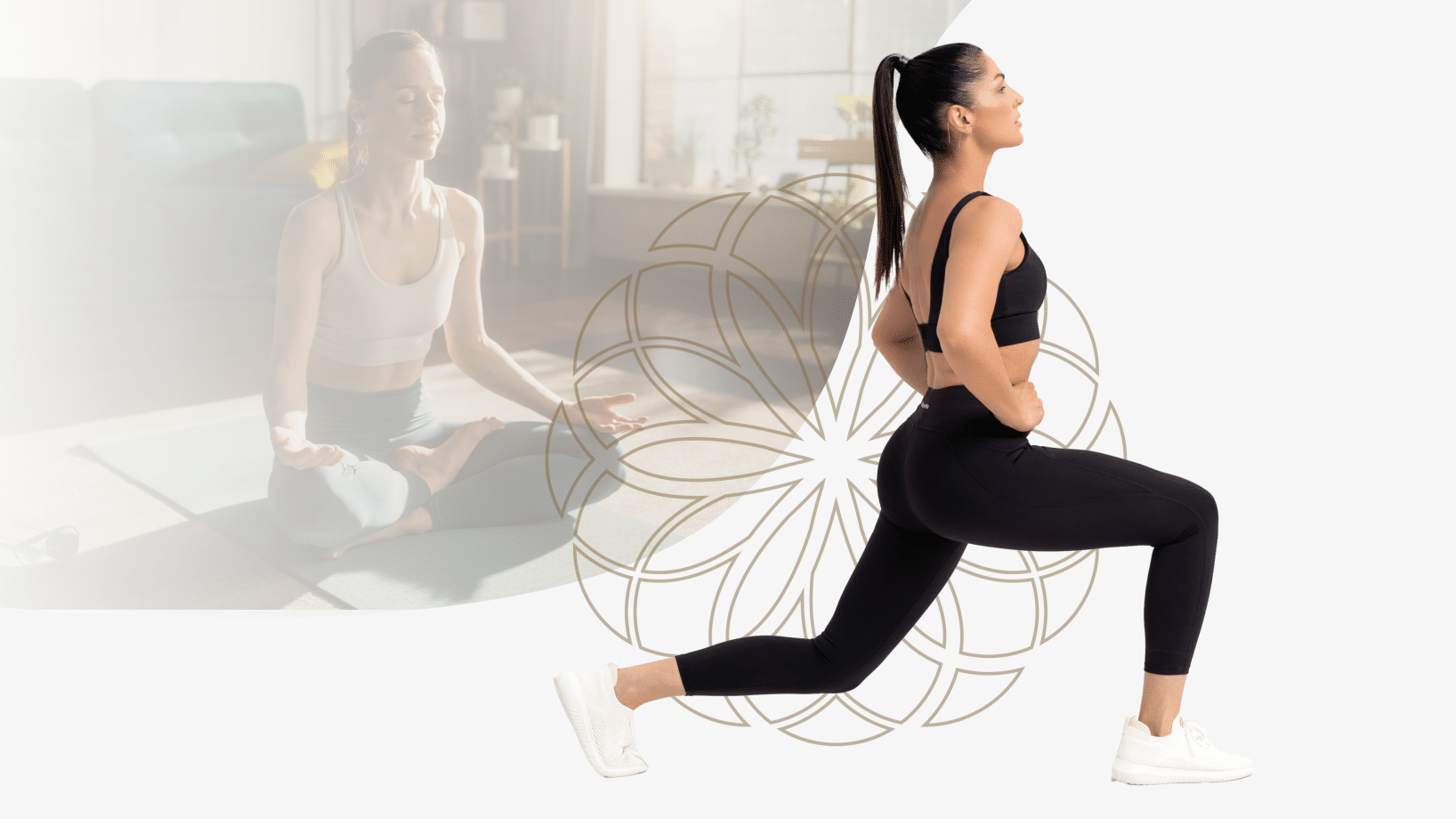 Somatic Exercises and TRE