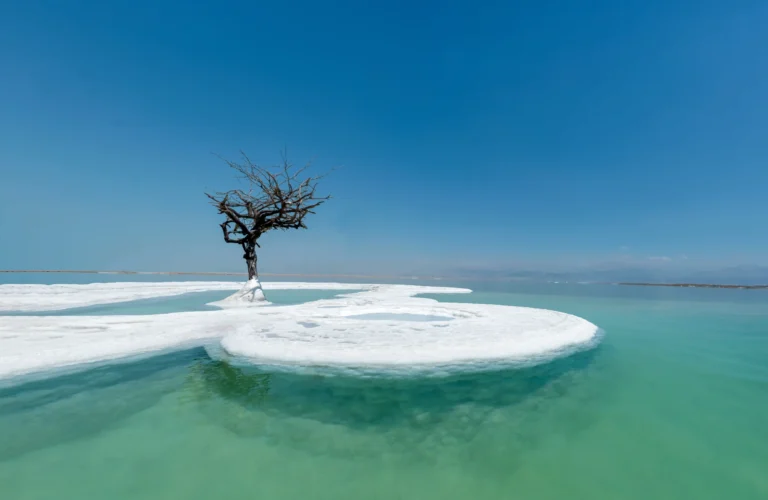 Adel Al Qasem Redefining luxury Skincare with the Healing Power of the Dead Sea