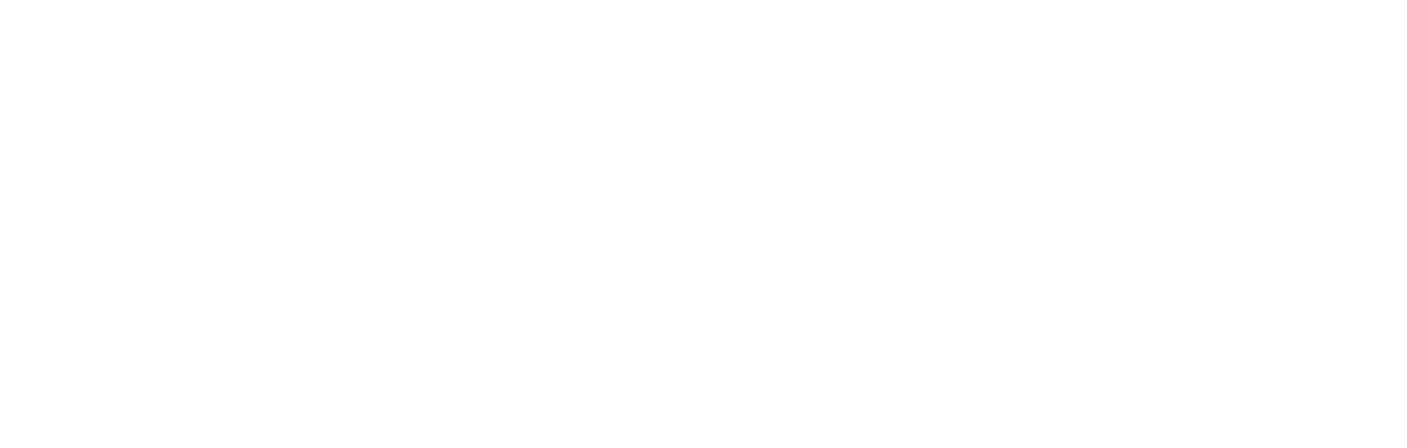 logo MAGNAV ME - White